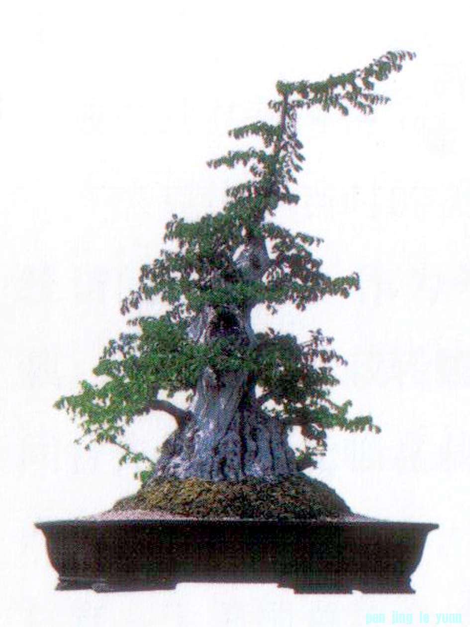 ݵ辰Է46.jpg
