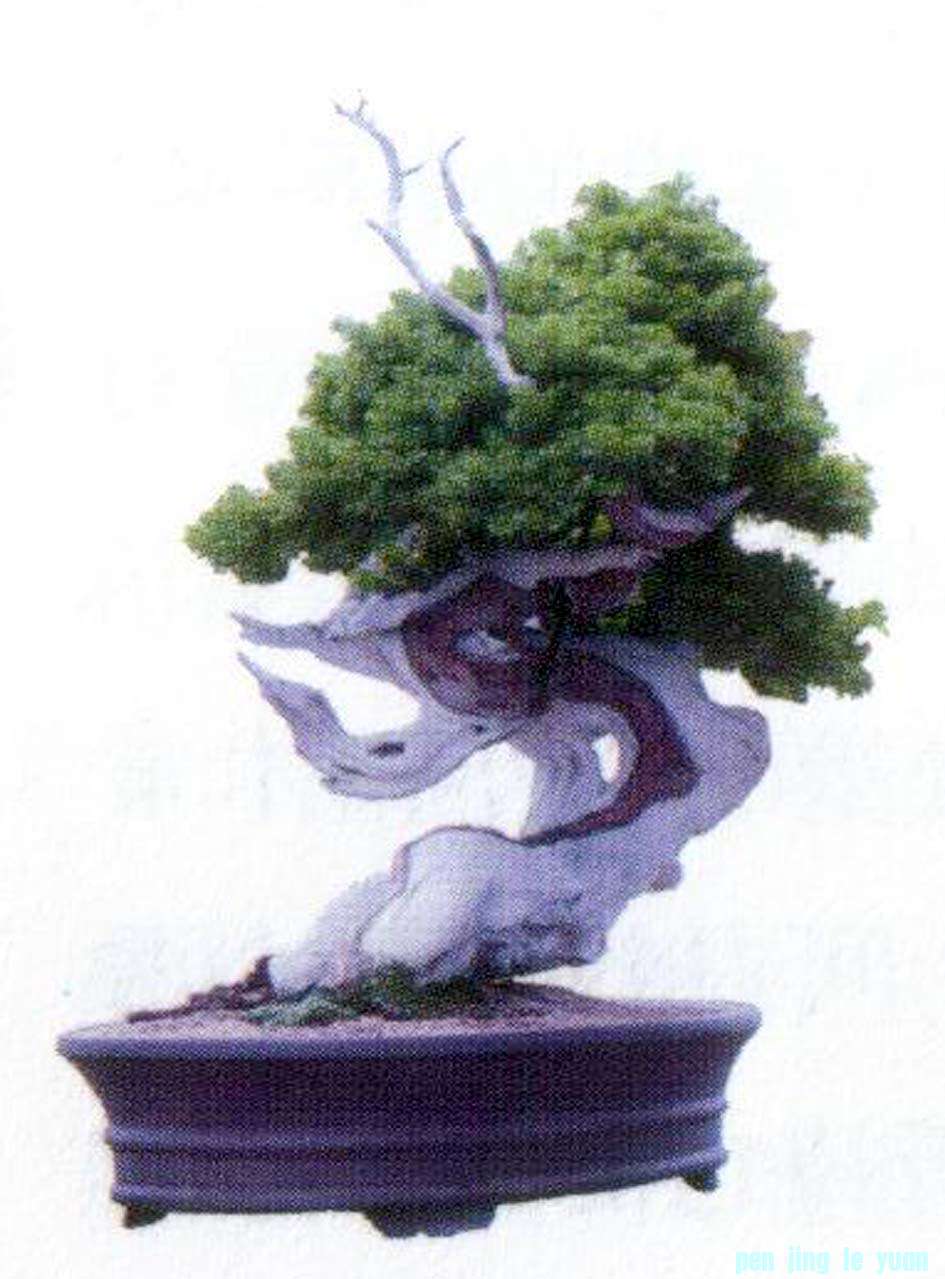 ݵ辰Է48.jpg