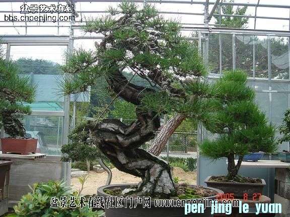 20080209_76ad27868e73a1e97226EXYFIeP2rIuE.jpg