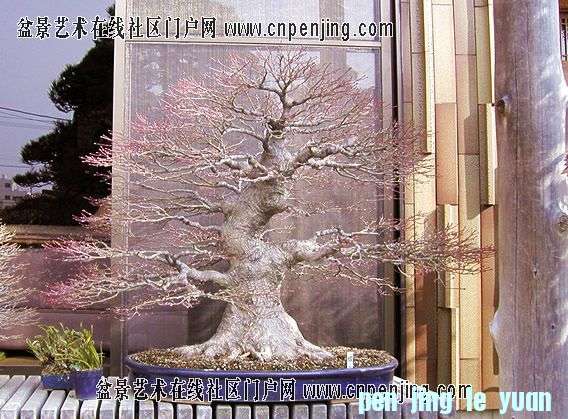 20080209_8753d4bce3256c44866e8qRLPJ1Dwmqx.jpg