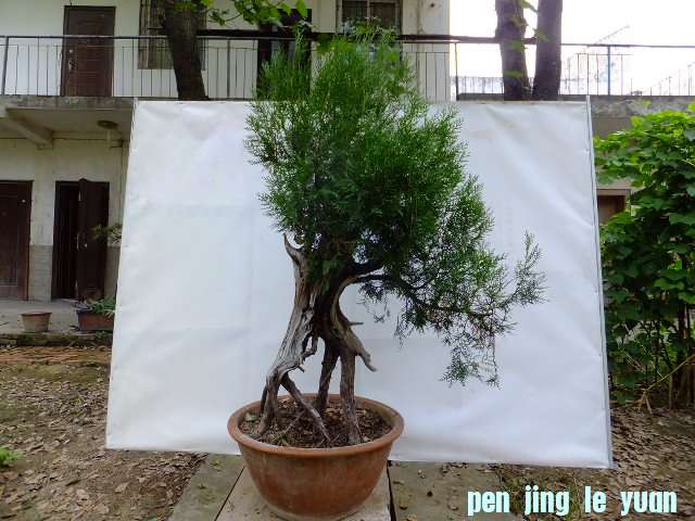 220439vrzptg675jgv4g56.jpg