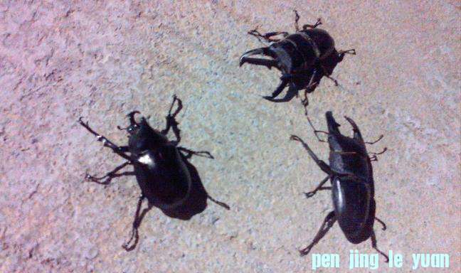IMG0807204800.jpg