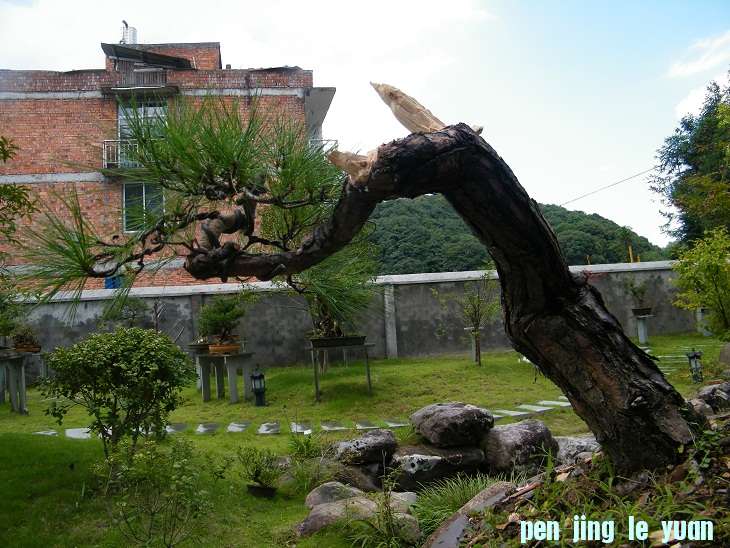 DSCF2223.JPG