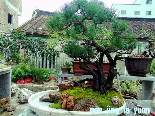Ƭ1412_001_001_001_001_.jpg