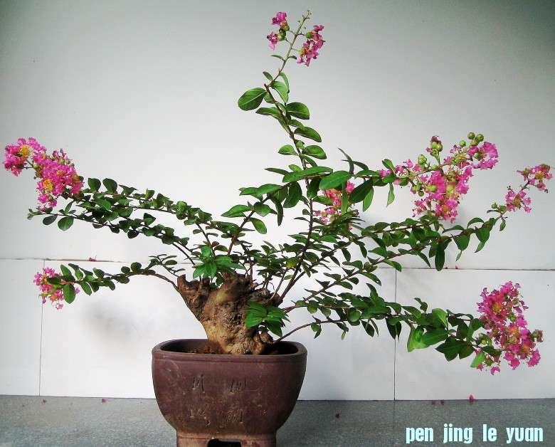 ޱ.jpg