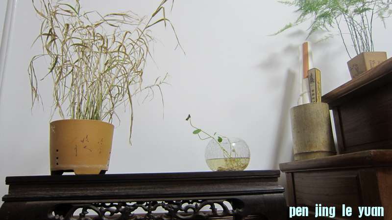 IMG_2552_С.JPG