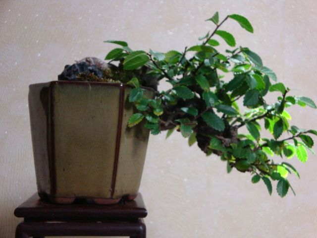 DSC09976.JPG