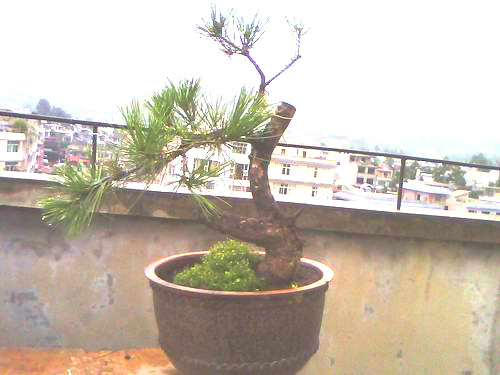 IMG0475Ab.jpg