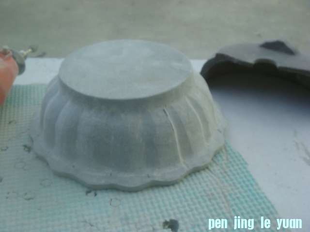 DSC04166.JPG