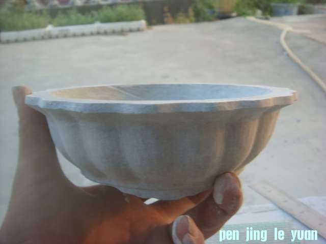 DSC04174.JPG