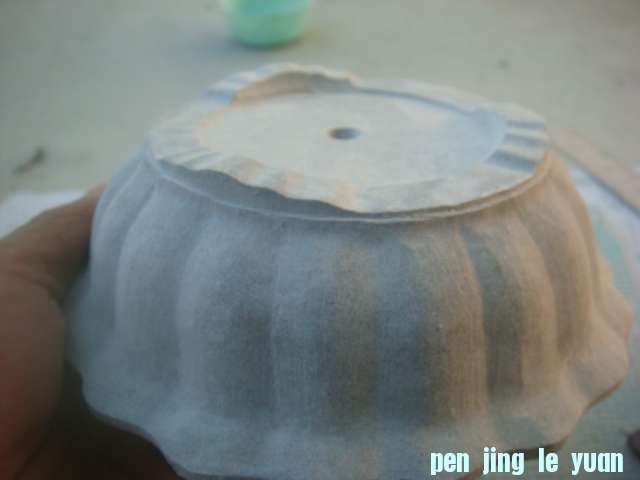 DSC04176.JPG