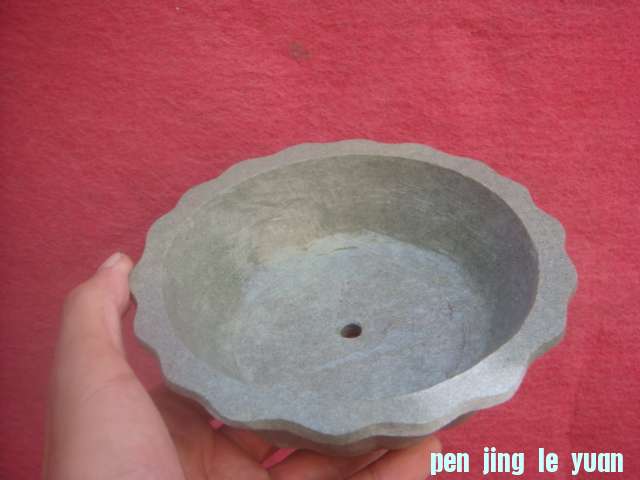 DSC04178.JPG