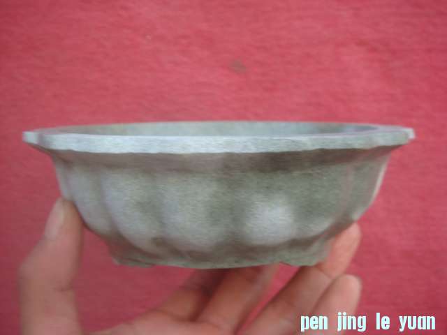 DSC04181.JPG