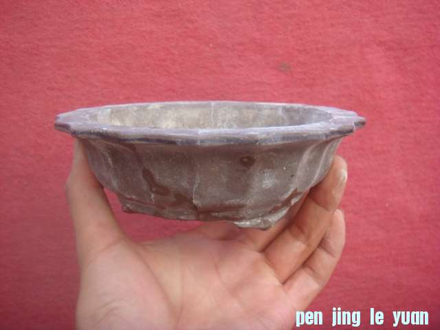 DSC04182.JPG