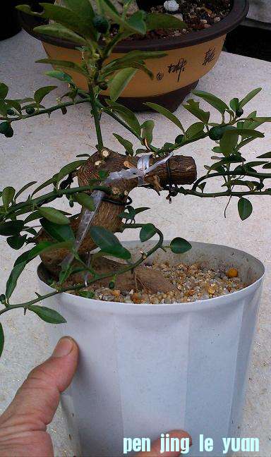 IMG0818165900.jpg