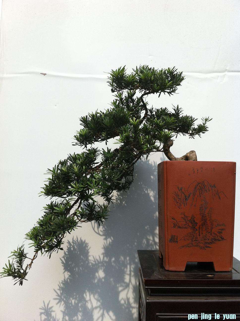 20120819ȸ޺ 005.jpg