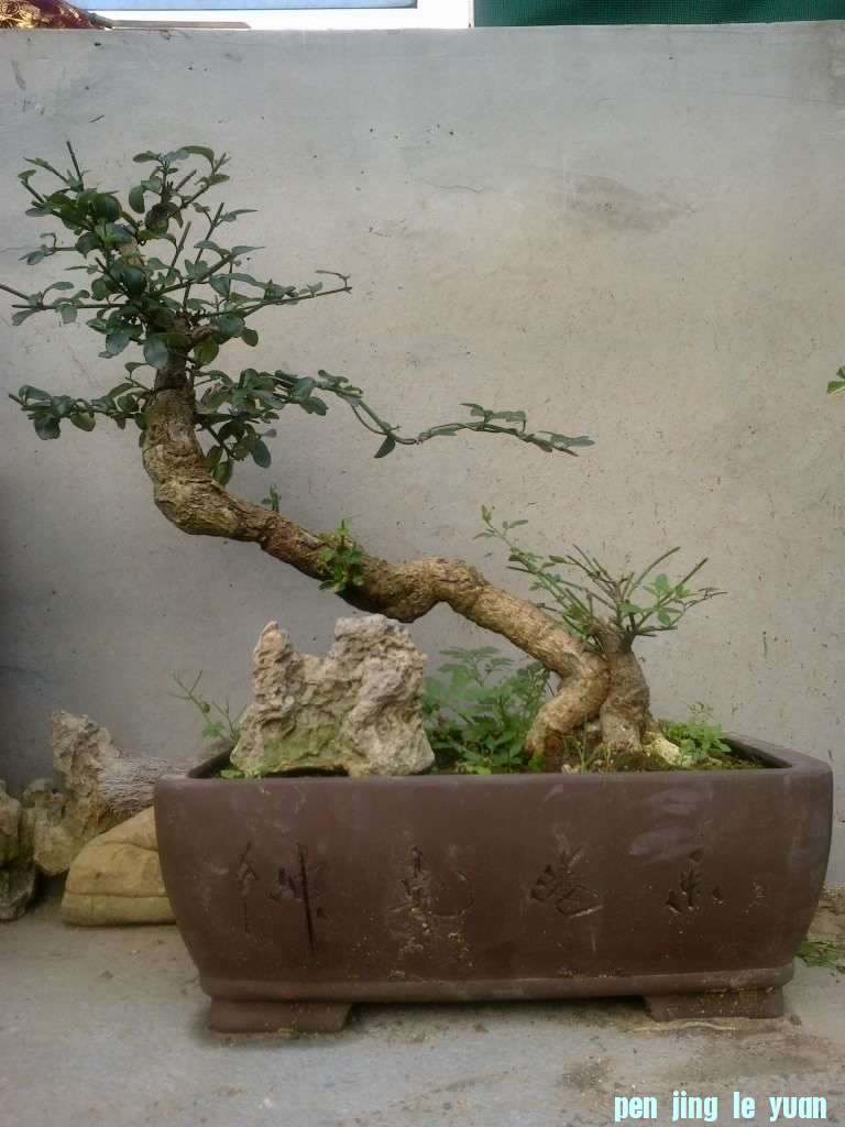 201208161604.jpg