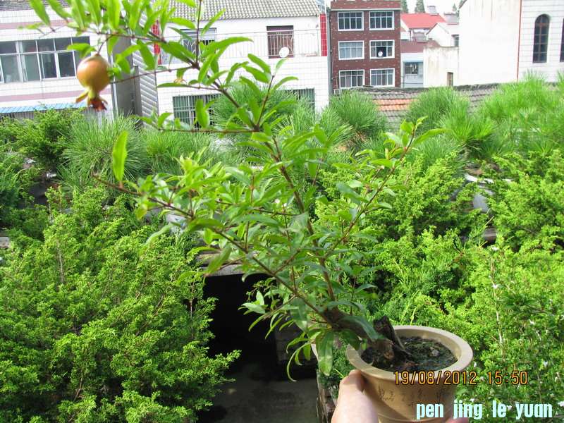  20120819 087.jpg