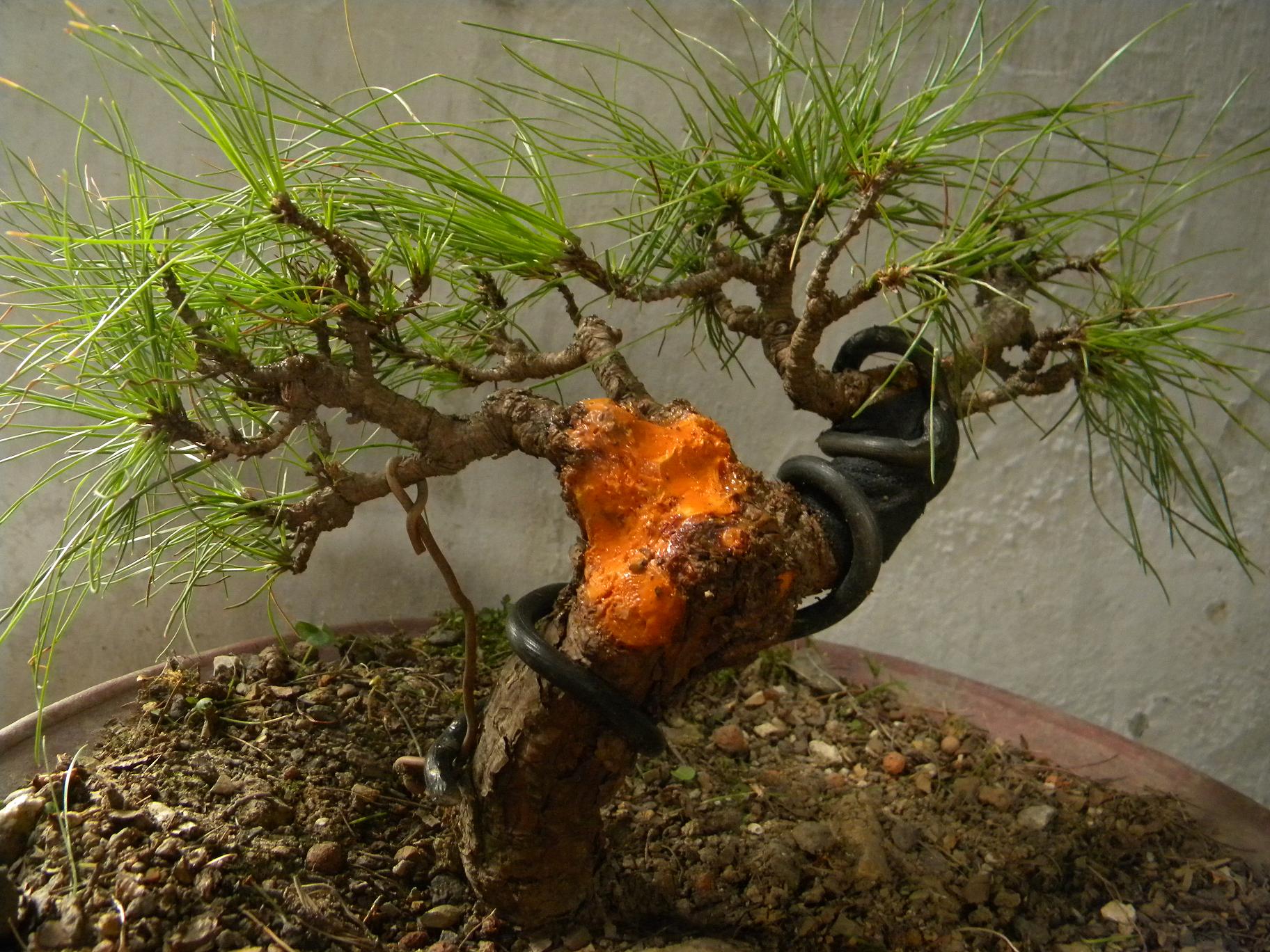 辰Ƭ 036.jpg