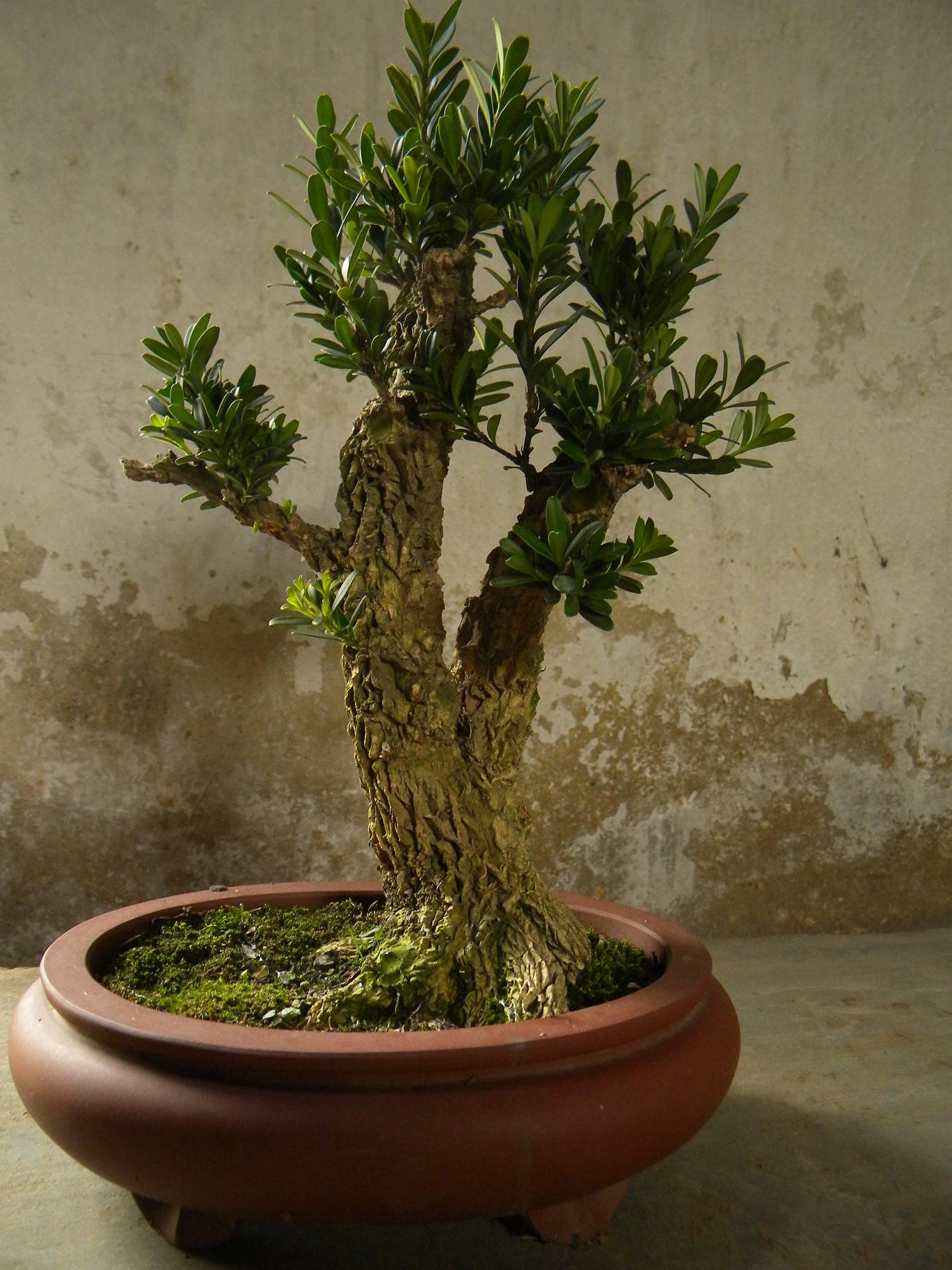 辰Ƭ 008.jpg