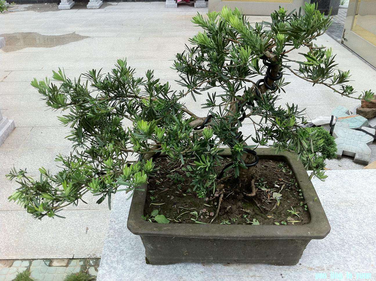 20120712ȸ޺ز 006.jpg