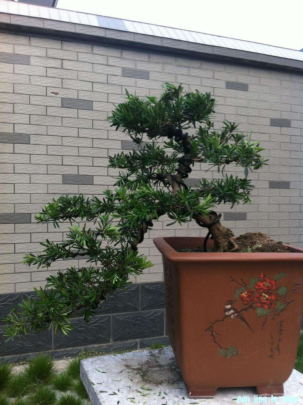 20120820ȸ޺.jpg