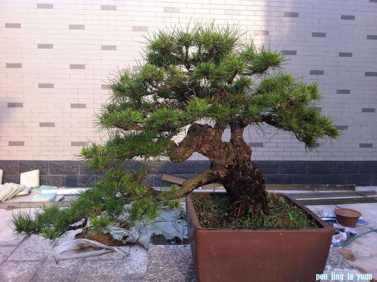 20120821 001.jpg