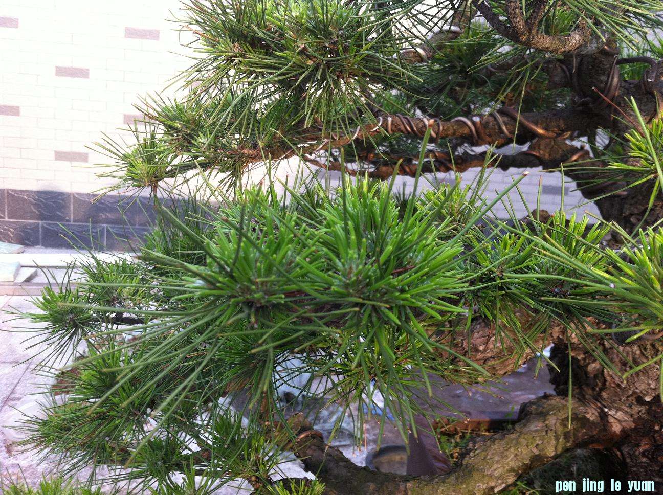 20120821 003.jpg