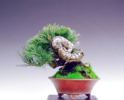 1 (21).jpg