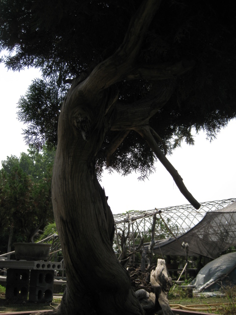 IMG_5555.JPG