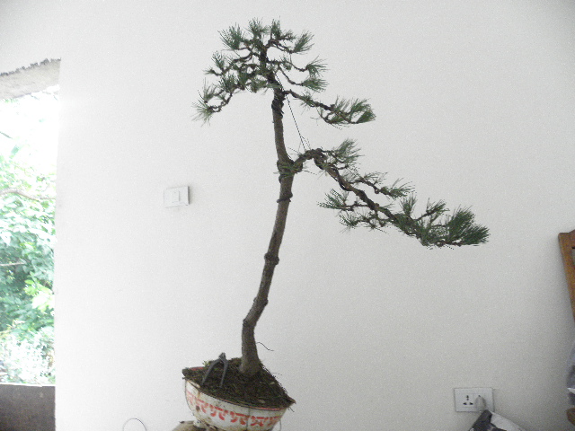 P8221842.JPG