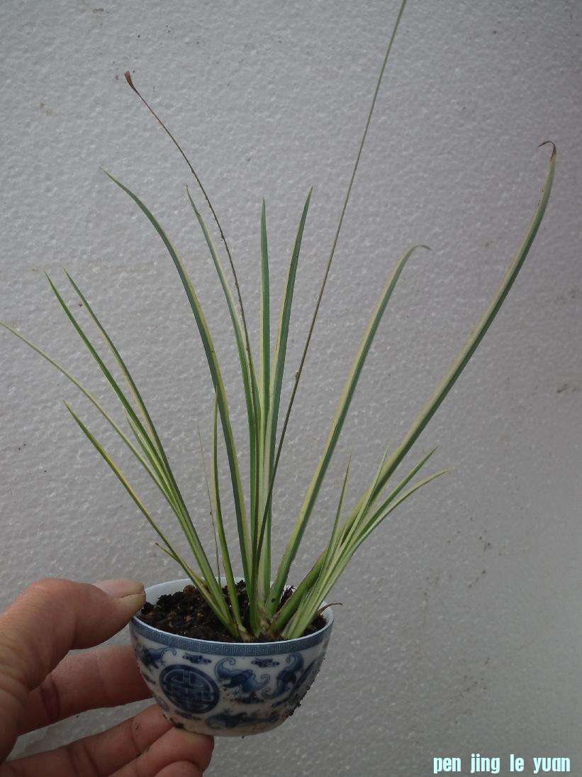 DSCF5563.JPG