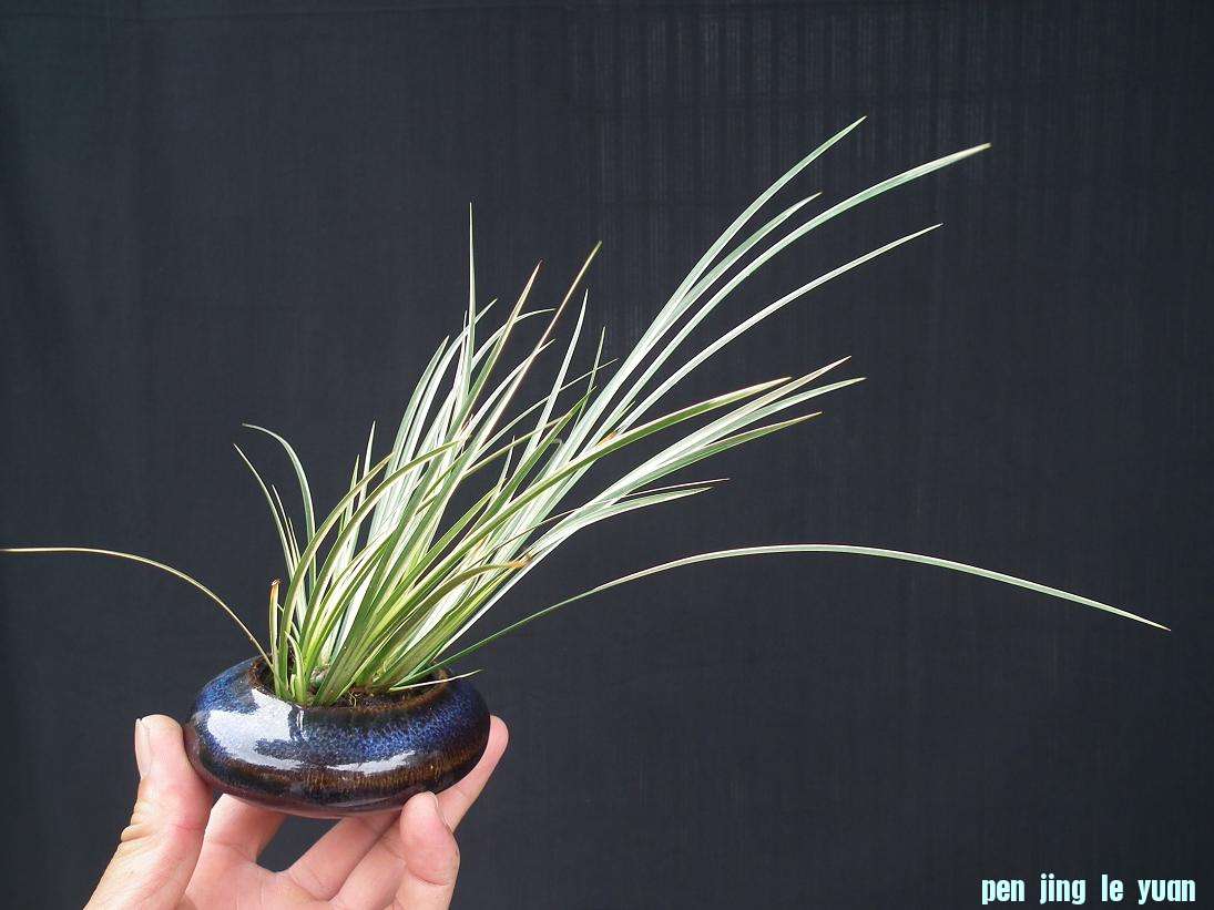 DSCF5690.JPG