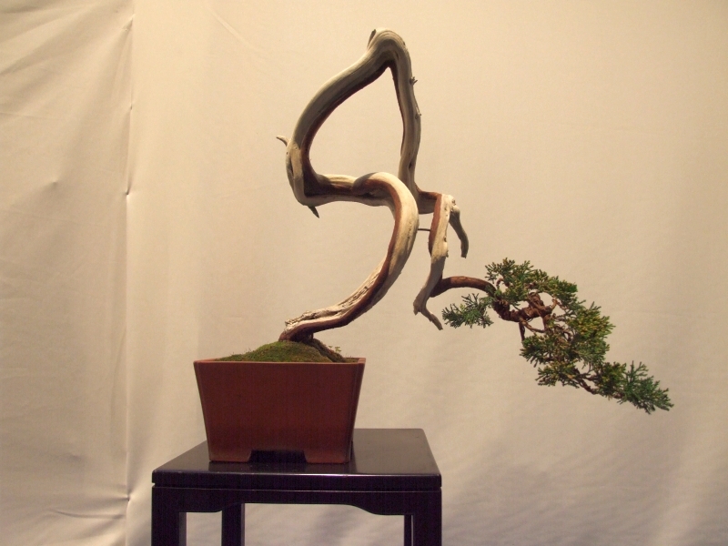 Noelanders Trophy XIII 2012 71b.jpg