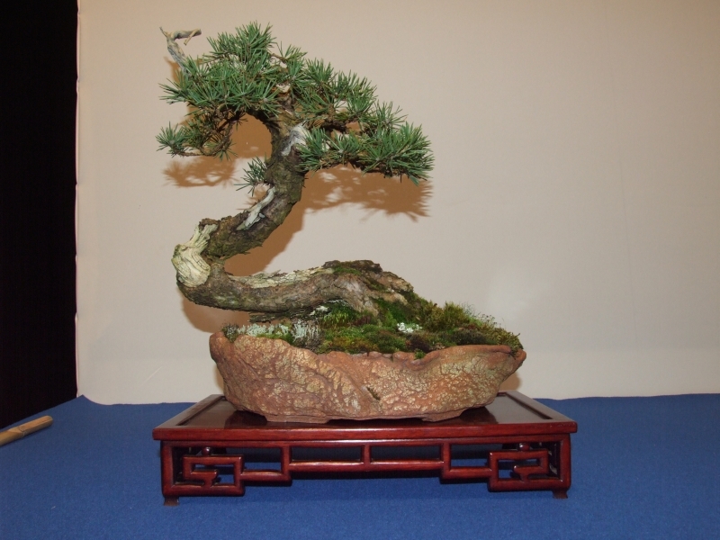 Noelanders Trophy XIII 2012 94b.jpg