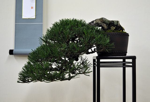 BSA 6th annual exhibition march 2012 004.jpg