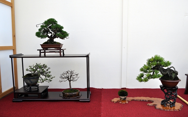 BSA 6th annual exhibition march 2012 089.jpg