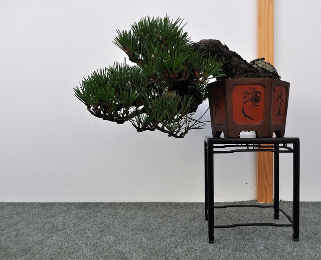 BSA 6th annual exhibition march 2012 133.jpg