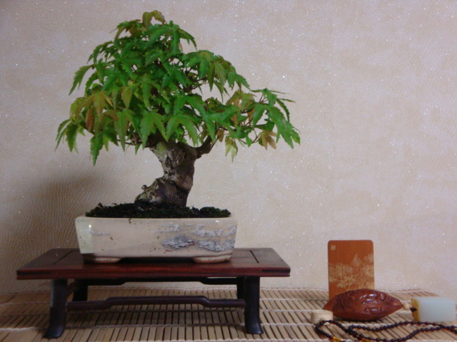 DSC00001.JPG