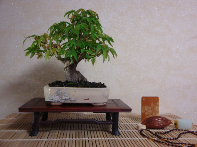 DSC00002.JPG
