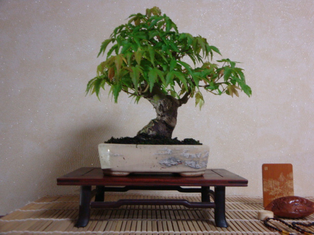 DSC00003.JPG
