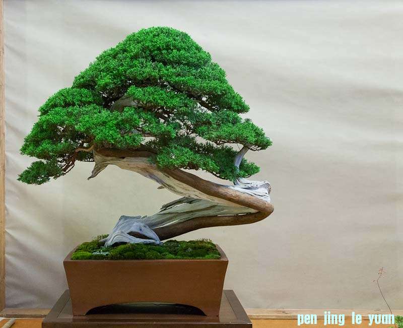 120505 067.jpg