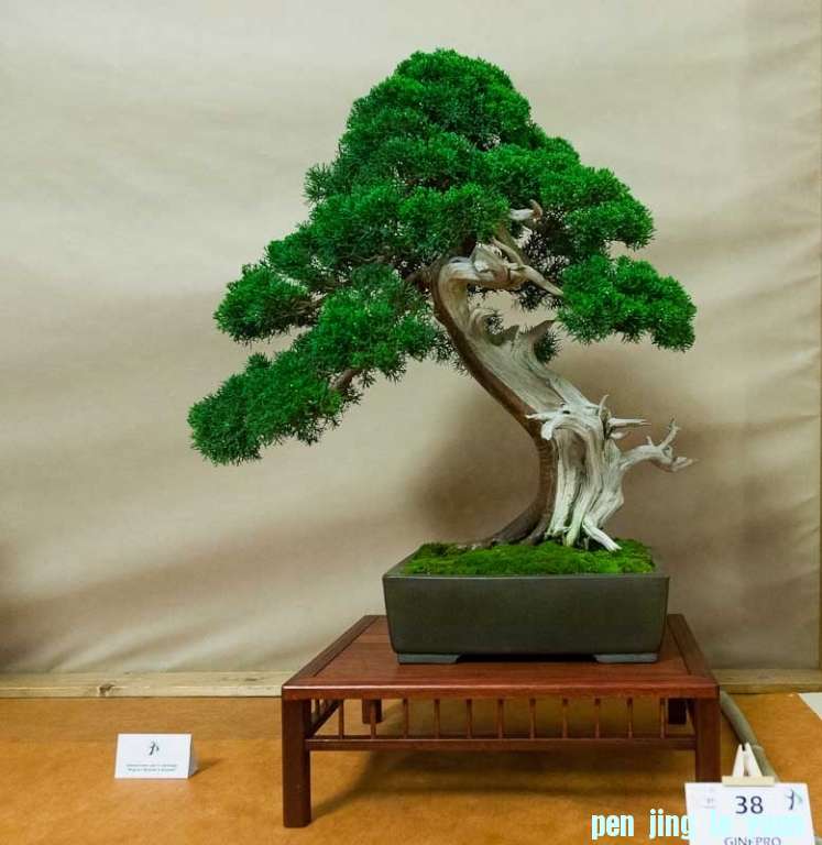 120505 082.jpg