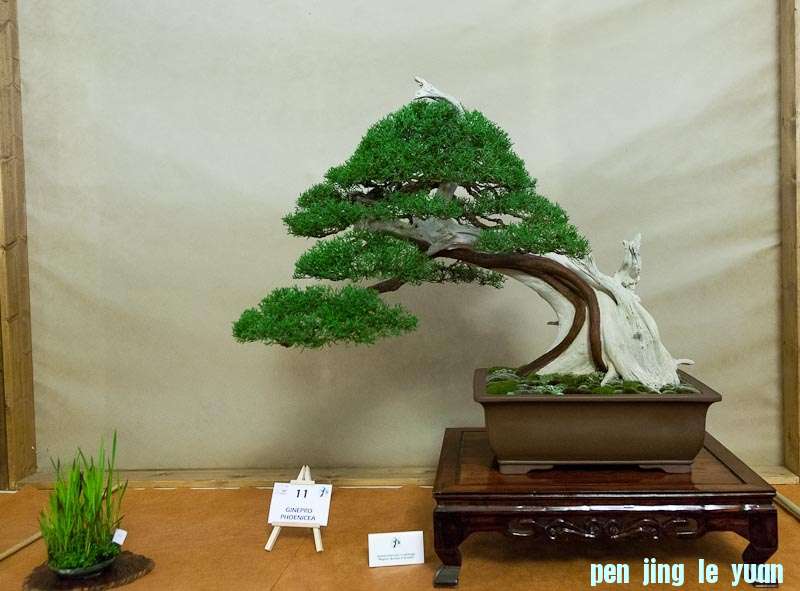 120505 097.jpg