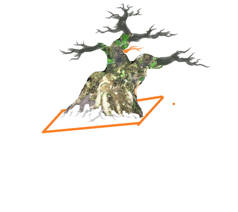 ޱ.png-1.png