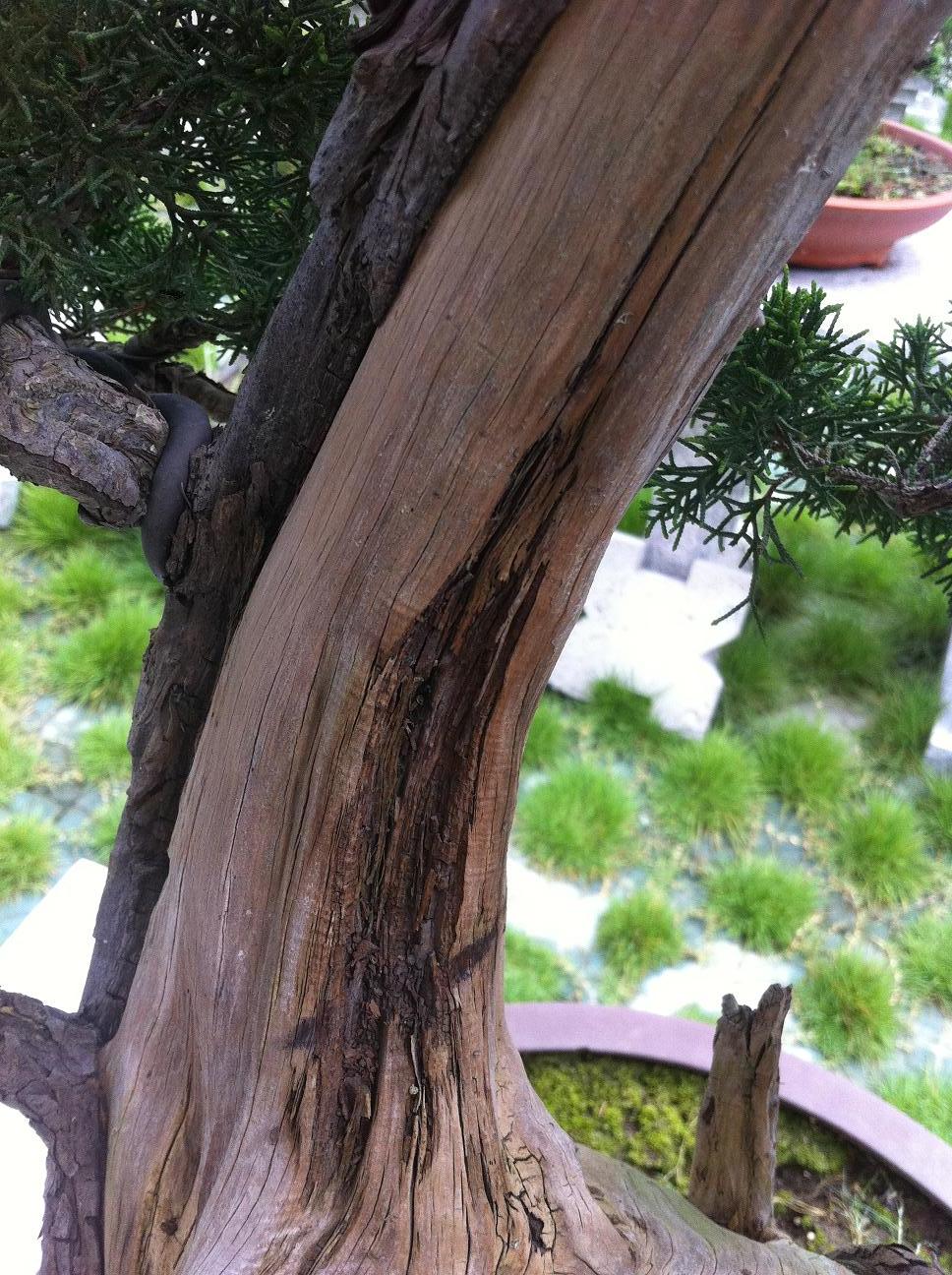 20120824 001.jpg