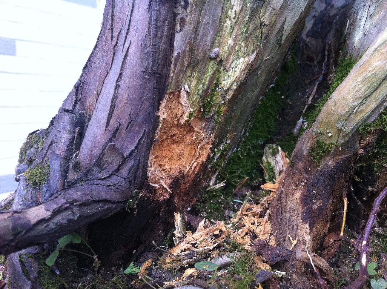 20120824 002.jpg