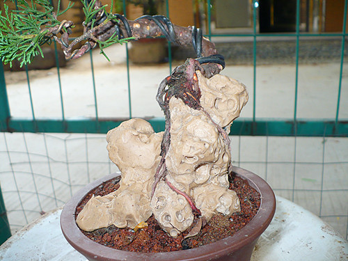 P1030700_.jpg