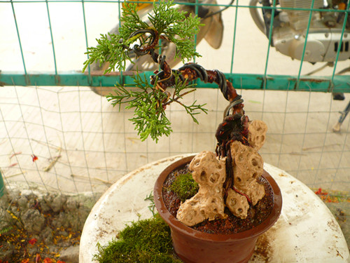 P1030702_.jpg