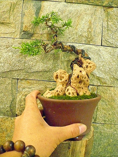 P1030710_.jpg